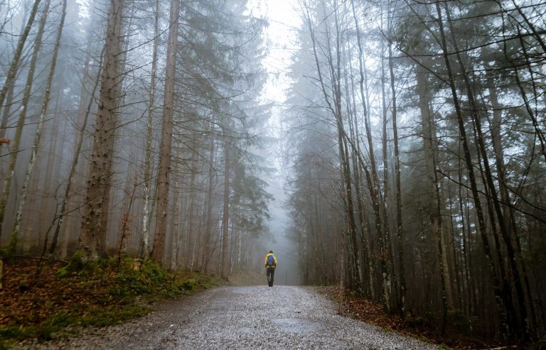 man-walking-in-woods-nature-productivity-tools-for-freelancers